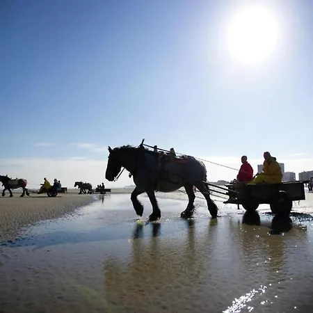 Relaxing Coastal Escape * Nieuwpoort