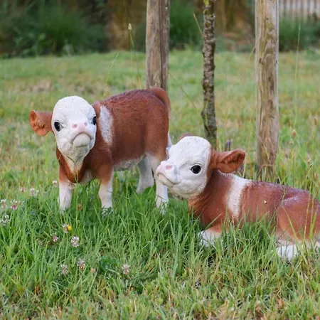 Relaxing Coastal Escape * Nieuwpoort