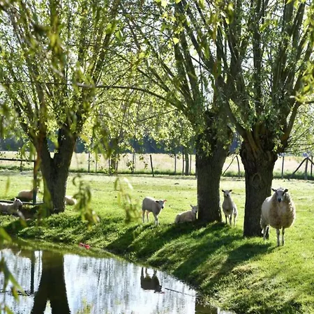 Relaxing Coastal Escape