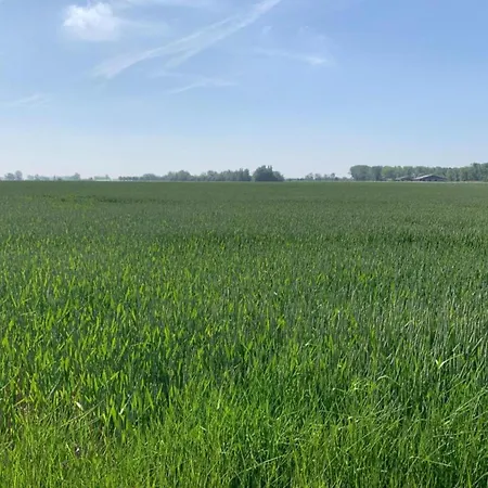 Relaxing Coastal Escape Nieuwpoort