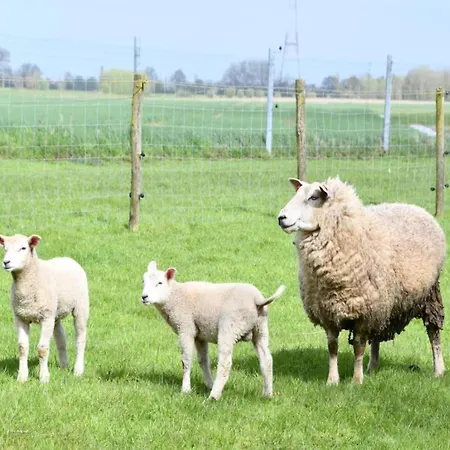 Relaxing Coastal Escape Apartamento Nieuwpoort