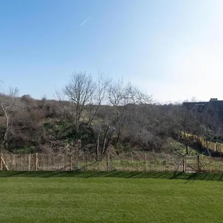 Relaxing Coastal Escape *