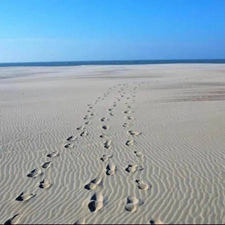 Relaxing Coastal Escape Apartamento Nieuwpoort